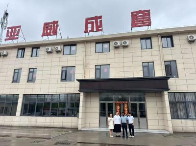 Des clients internationaux visitent Jiangsu Yawei Complete Electric pour expl...
